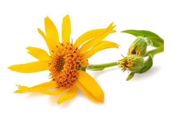 Depanten contains arnica