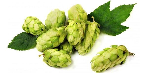 You can make an ointment for osteochondrosis of the neck from hop cones. 