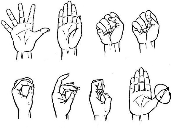 Gymnastics for the fingers, effective relief from osteoarthritis